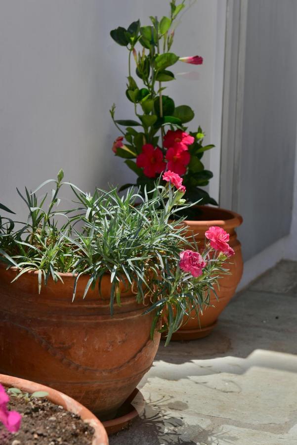 Feel At Home - Family House In Hydra Exteriör bild